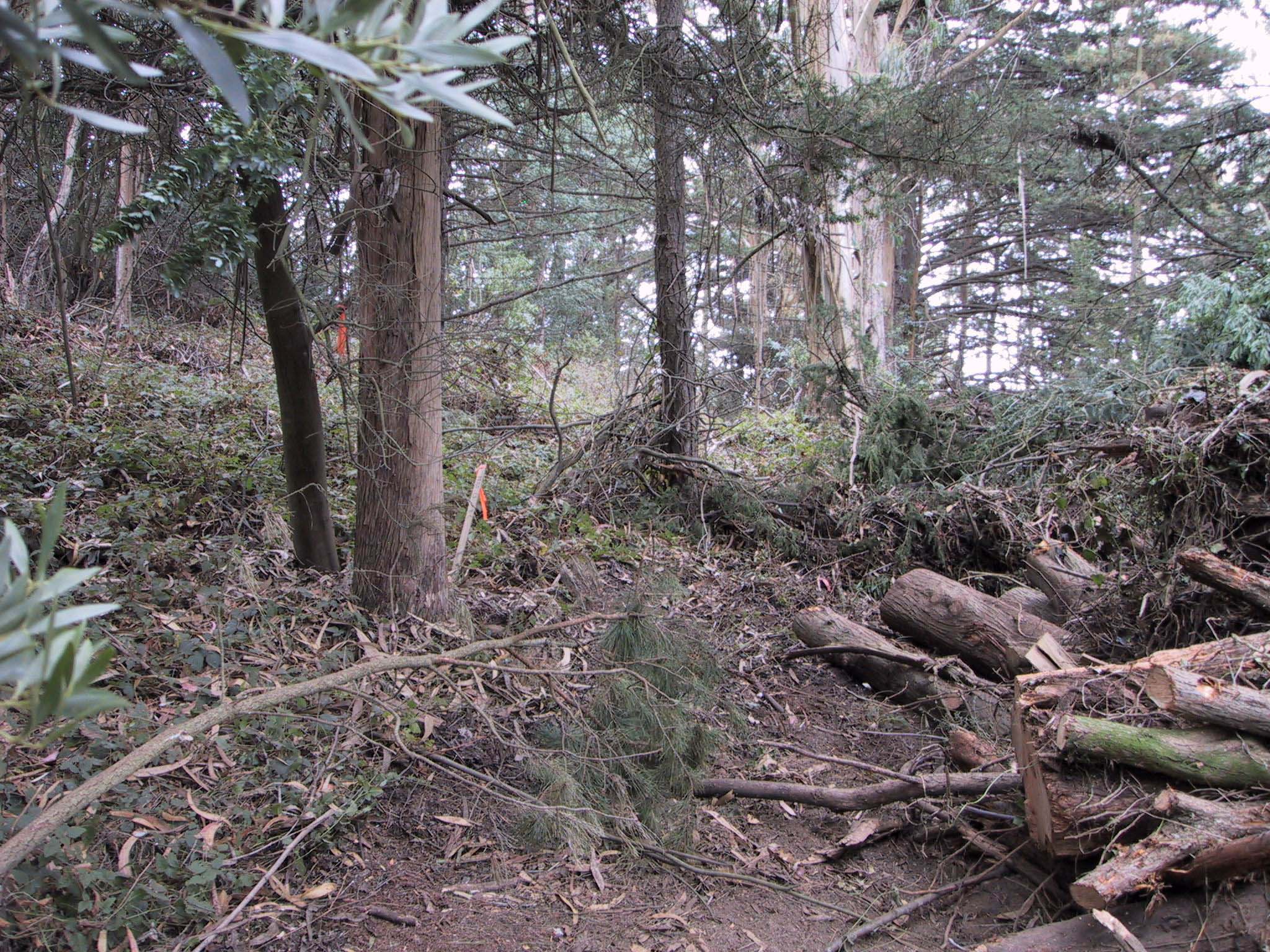 DEBRIS~1