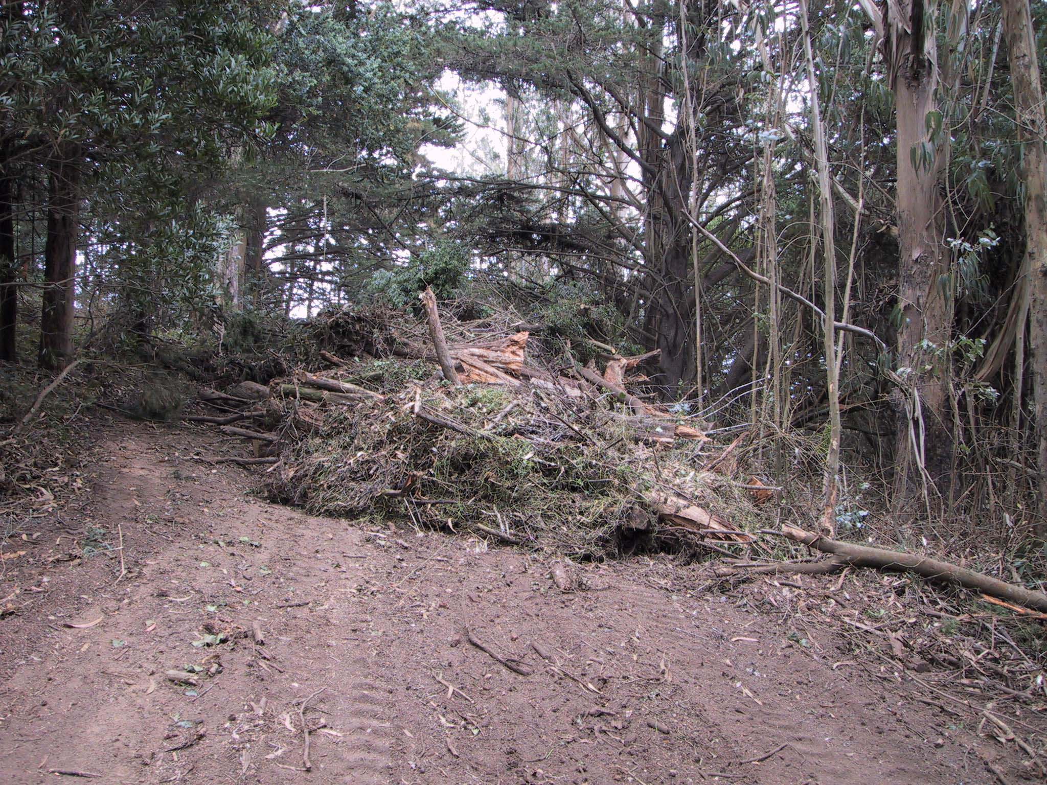 DEBRIS~2