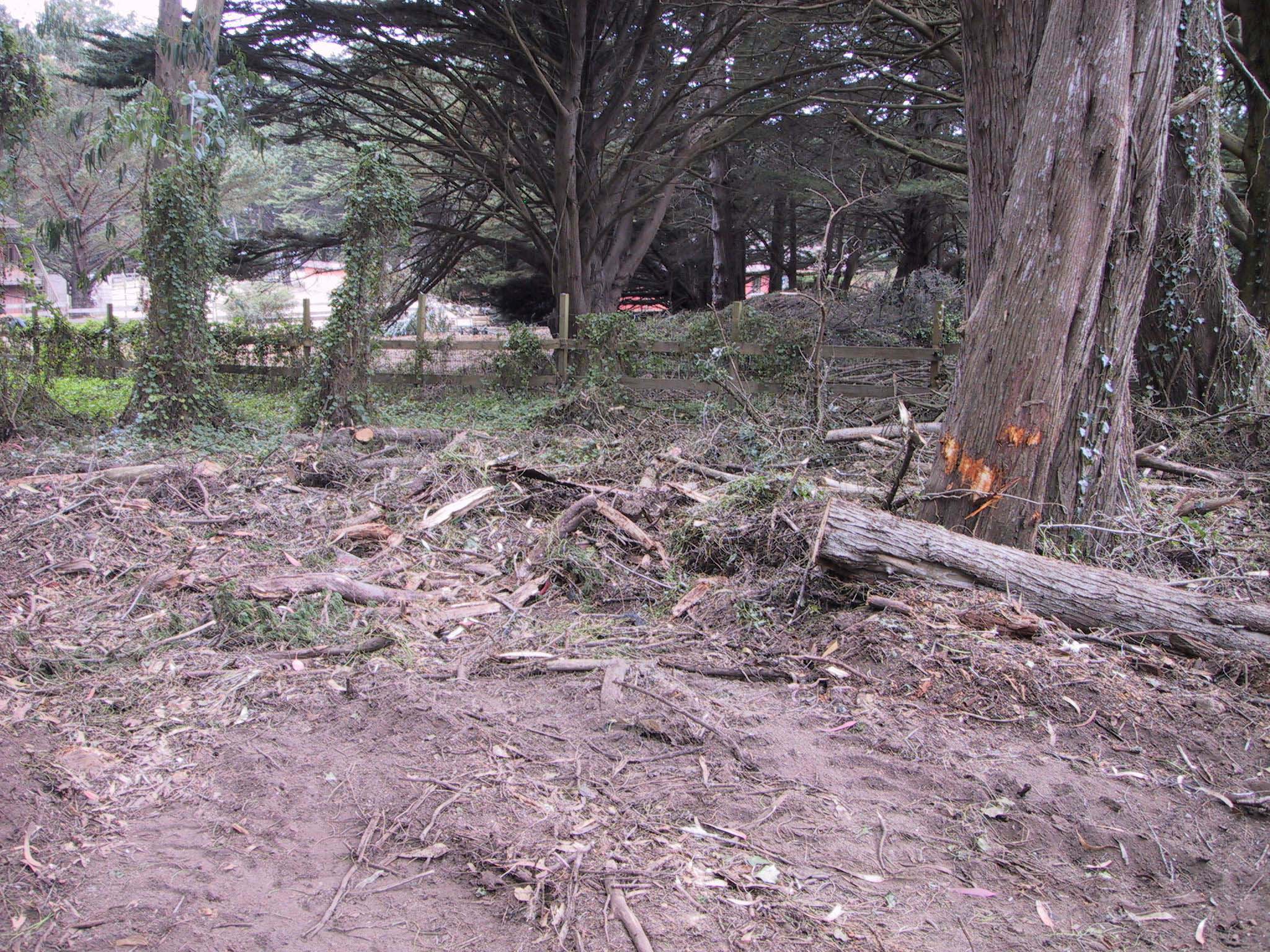 DEBRIS~3