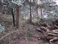 DEBRIS~1