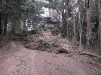 DEBRIS~2