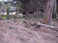 DEBRIS~3