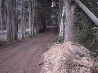 ROAD-A~1