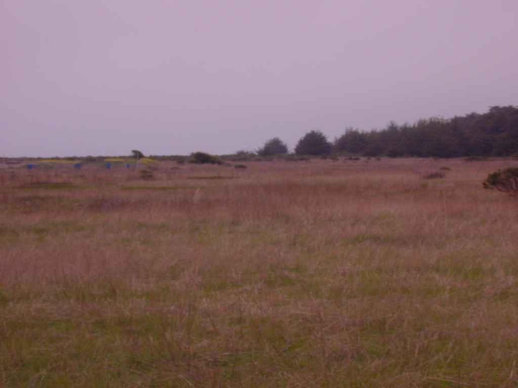 DSCN1813.JPG