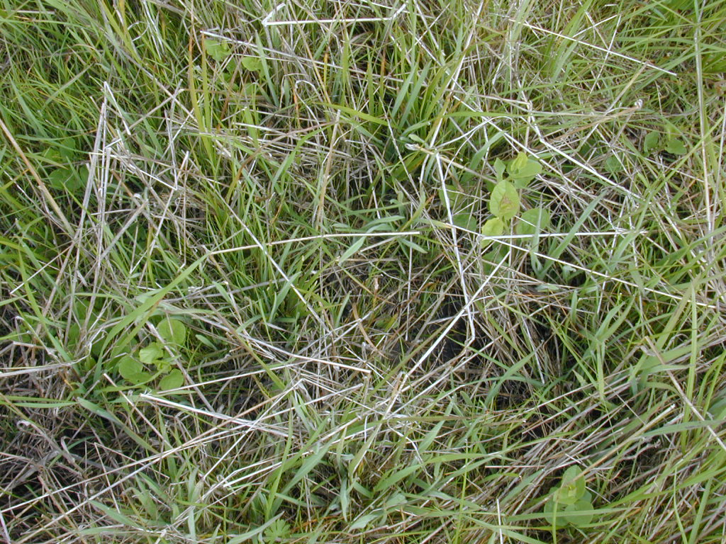 DSCN1725.JPG