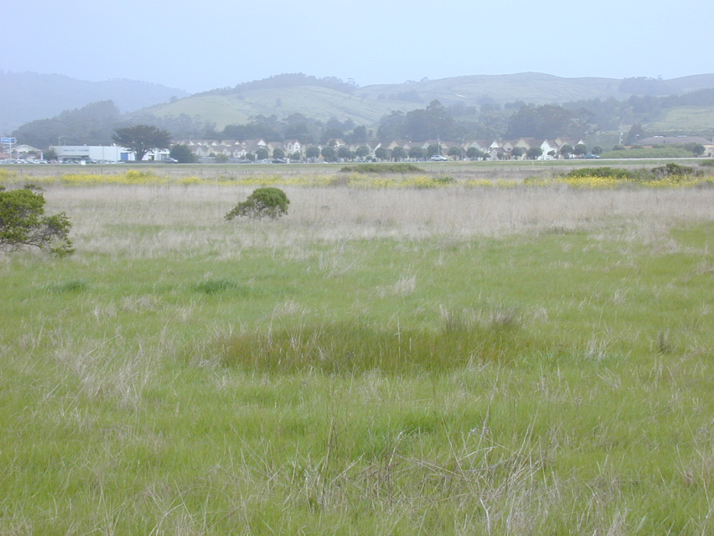 DSCN1728.JPG