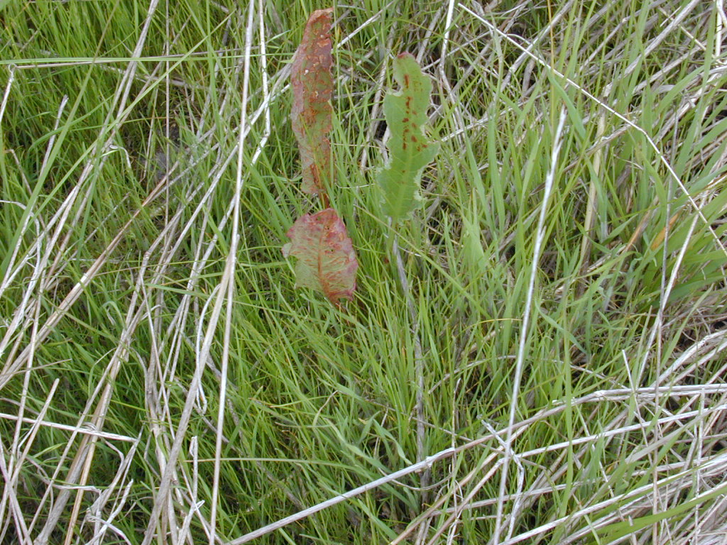 DSCN1861.JPG
