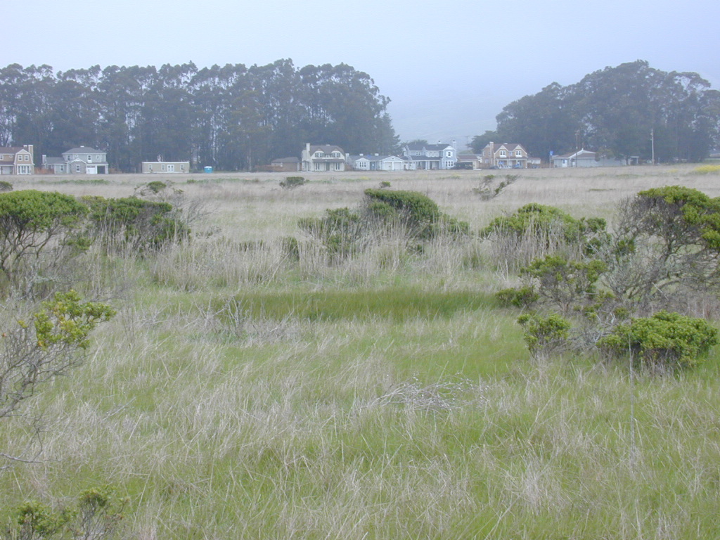 DSCN1729.JPG