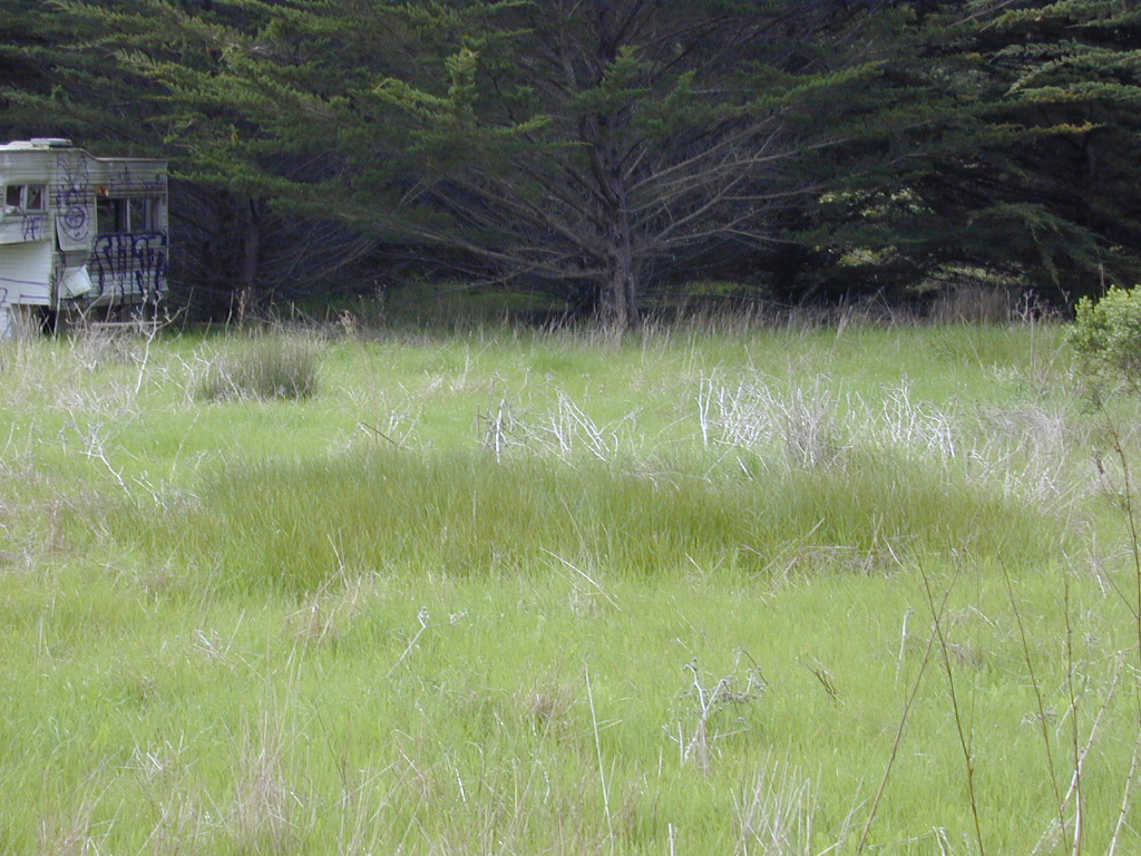DSCN1730.JPG