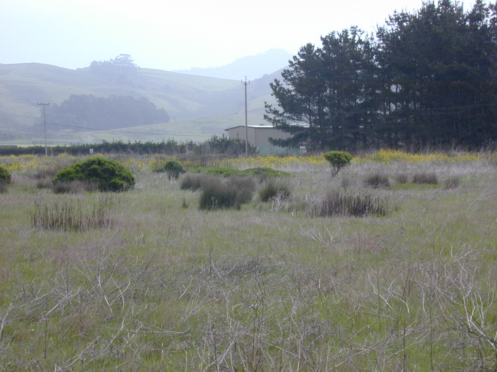 DSCN1732.JPG
