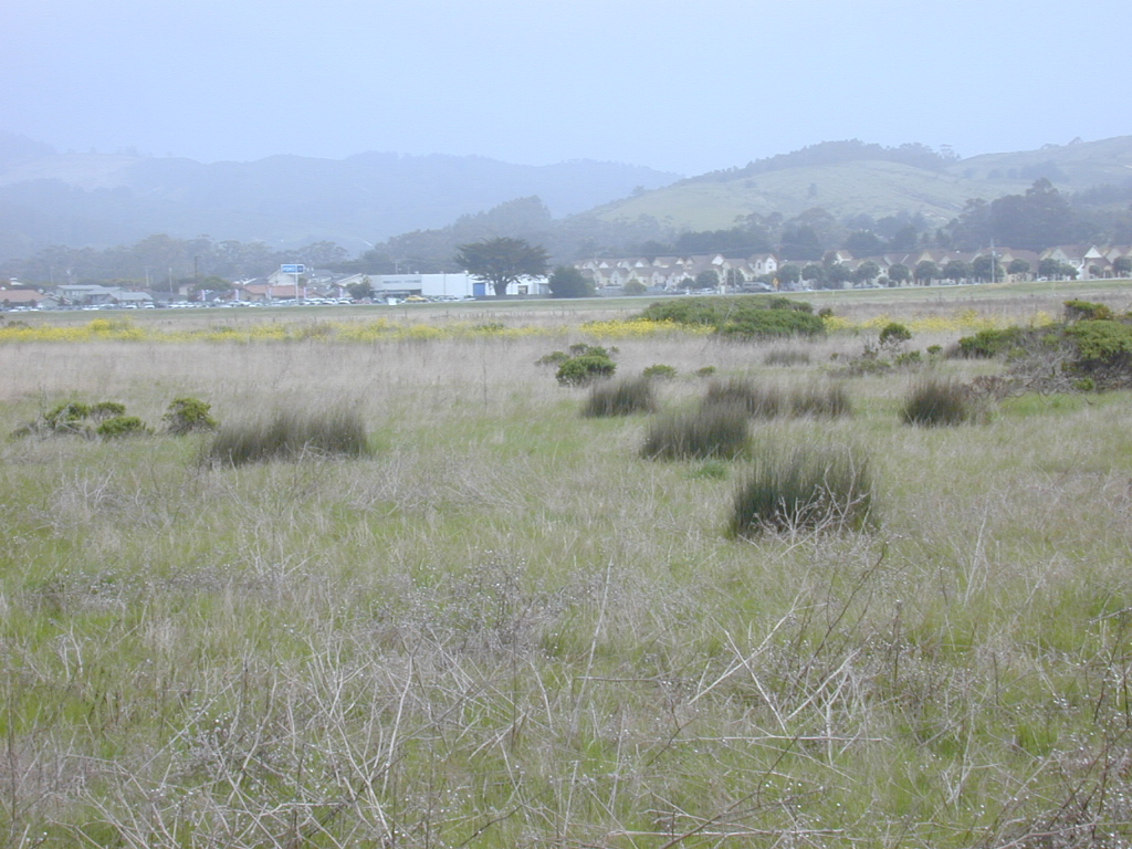 DSCN1733.JPG