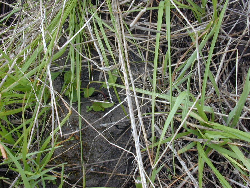 DSCN1736.JPG
