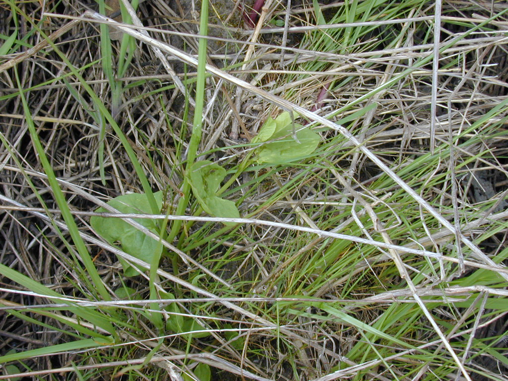 DSCN1737.JPG