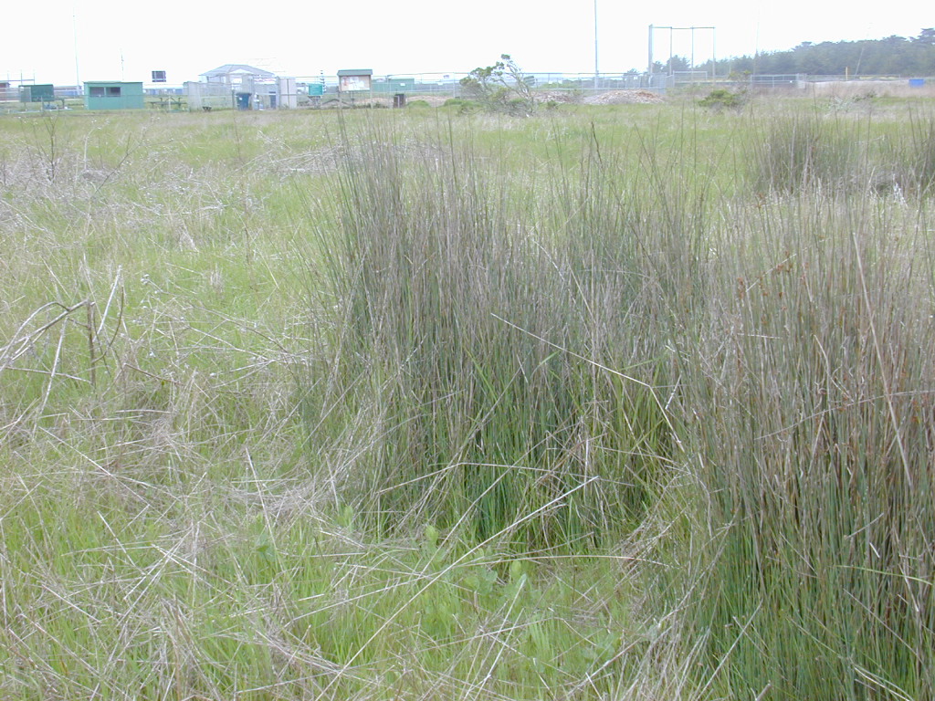 DSCN1740.JPG