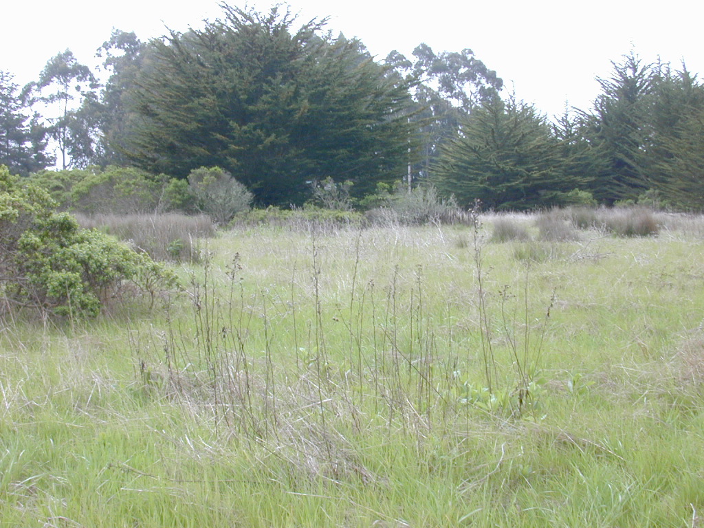DSCN1743.JPG