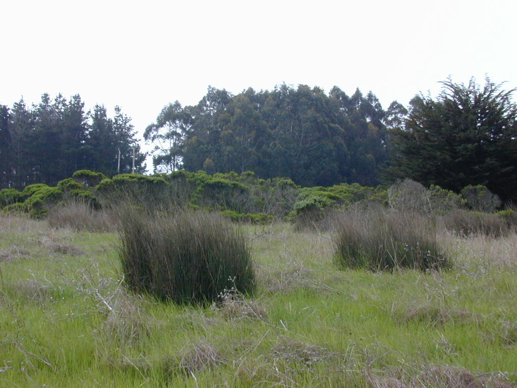 DSCN1745.JPG