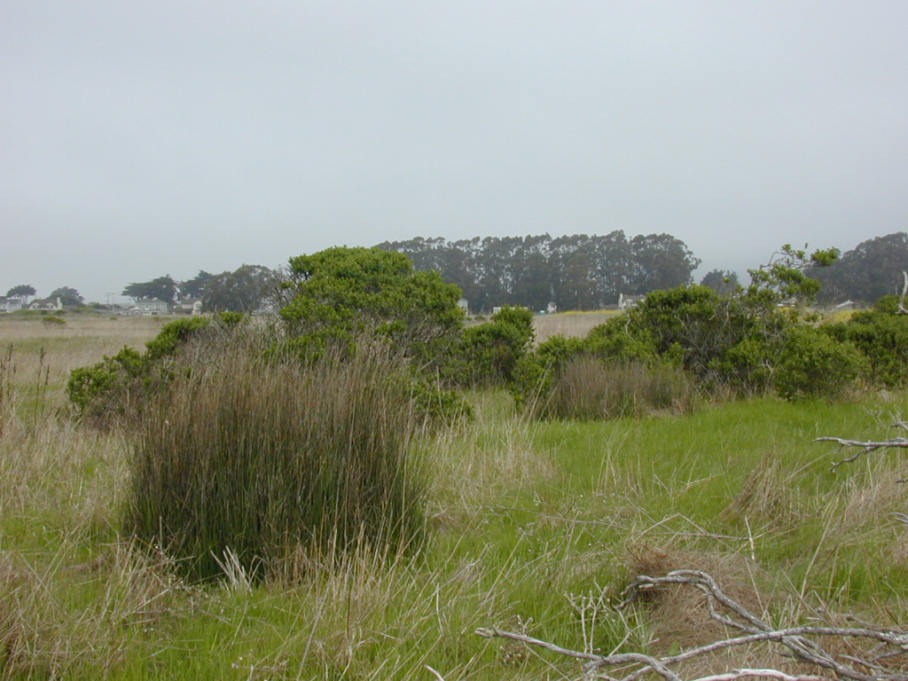 DSCN1746.JPG