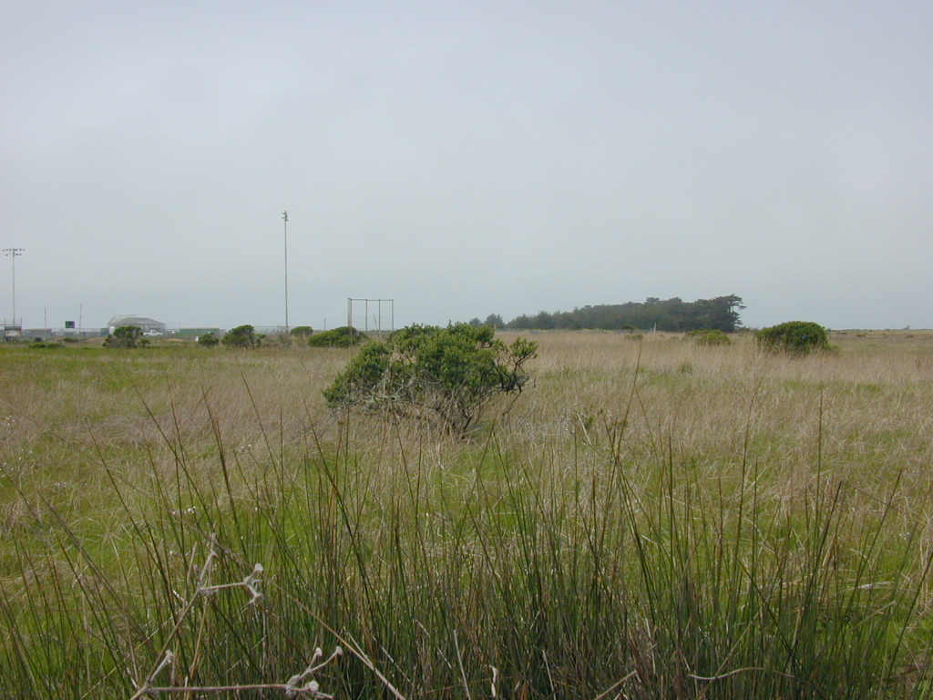 DSCN1750.JPG