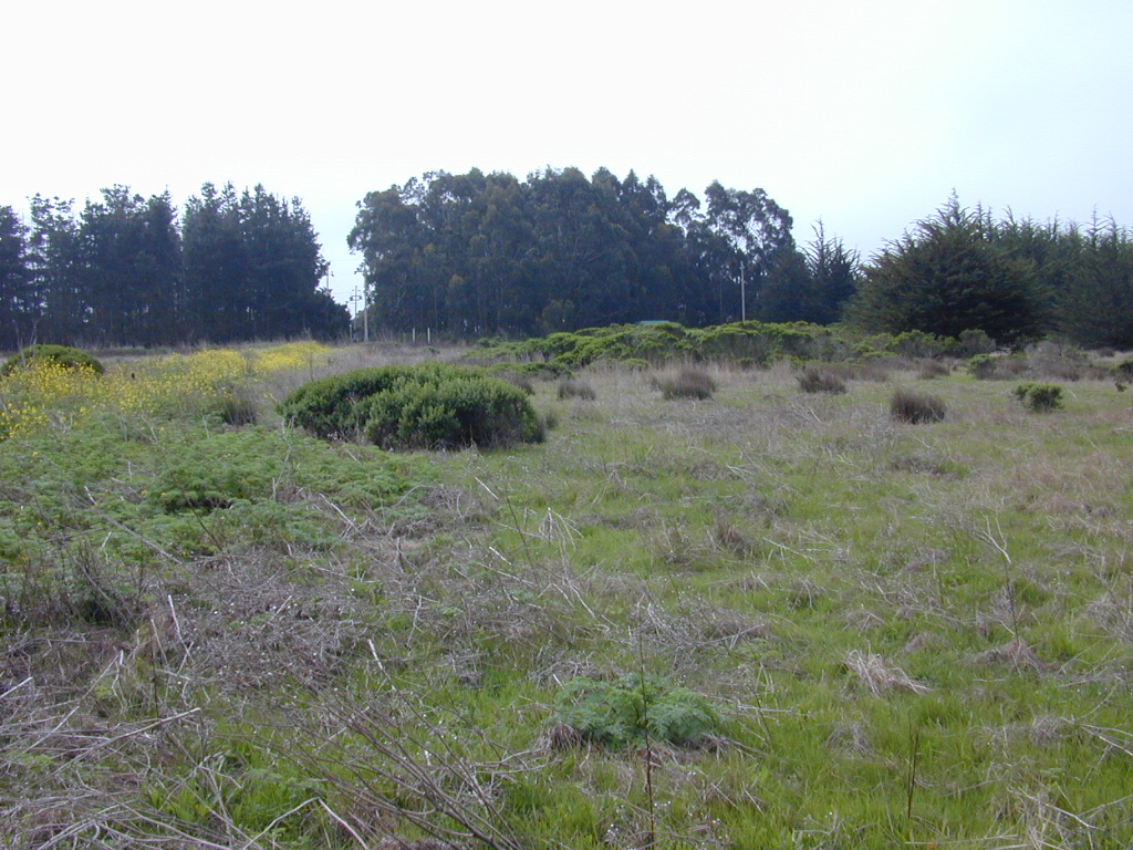 DSCN1751.JPG
