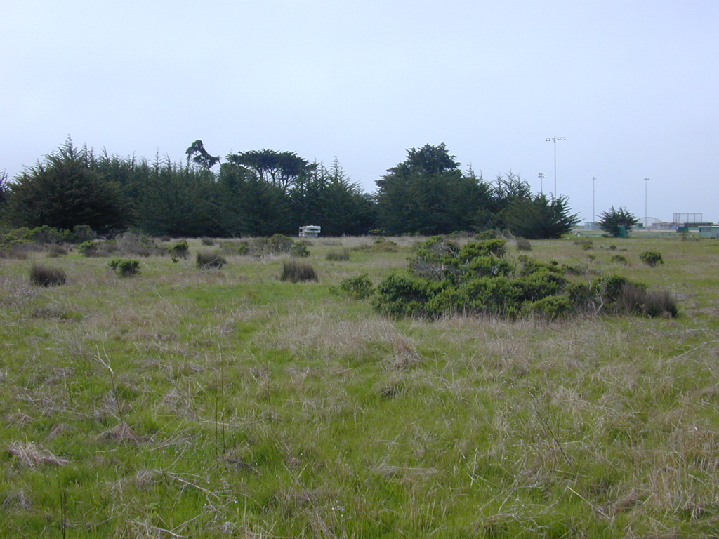 DSCN1752.JPG