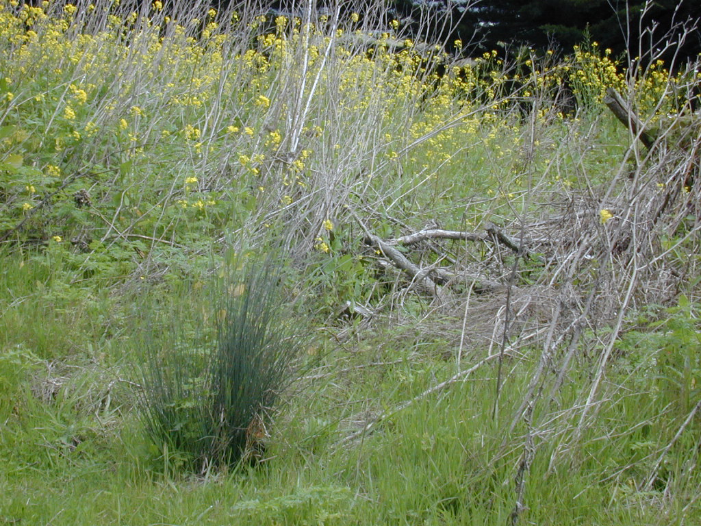 DSCN1716.JPG