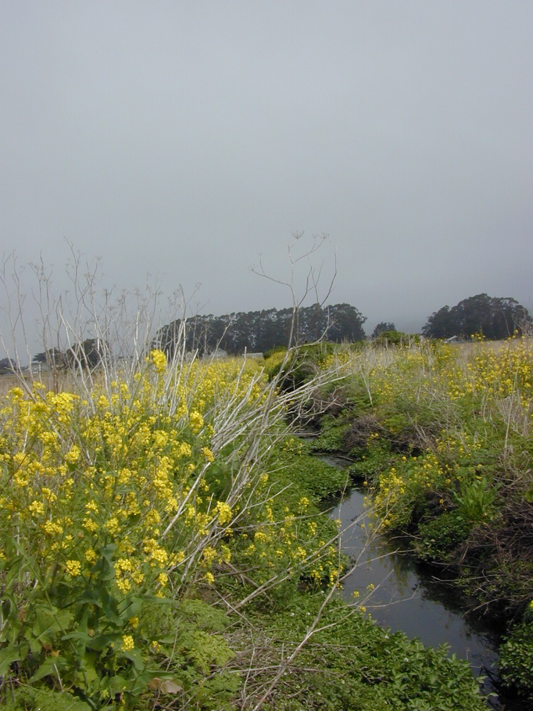 DSCN1756.JPG