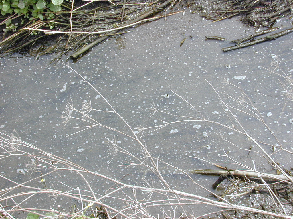 DSCN1757.JPG