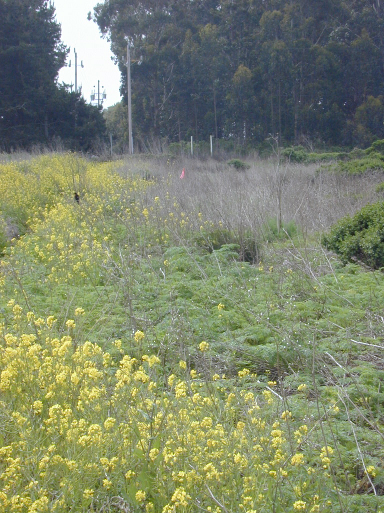 DSCN1760.JPG