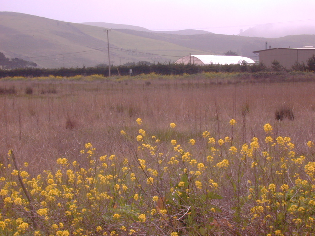 DSCN1765.JPG