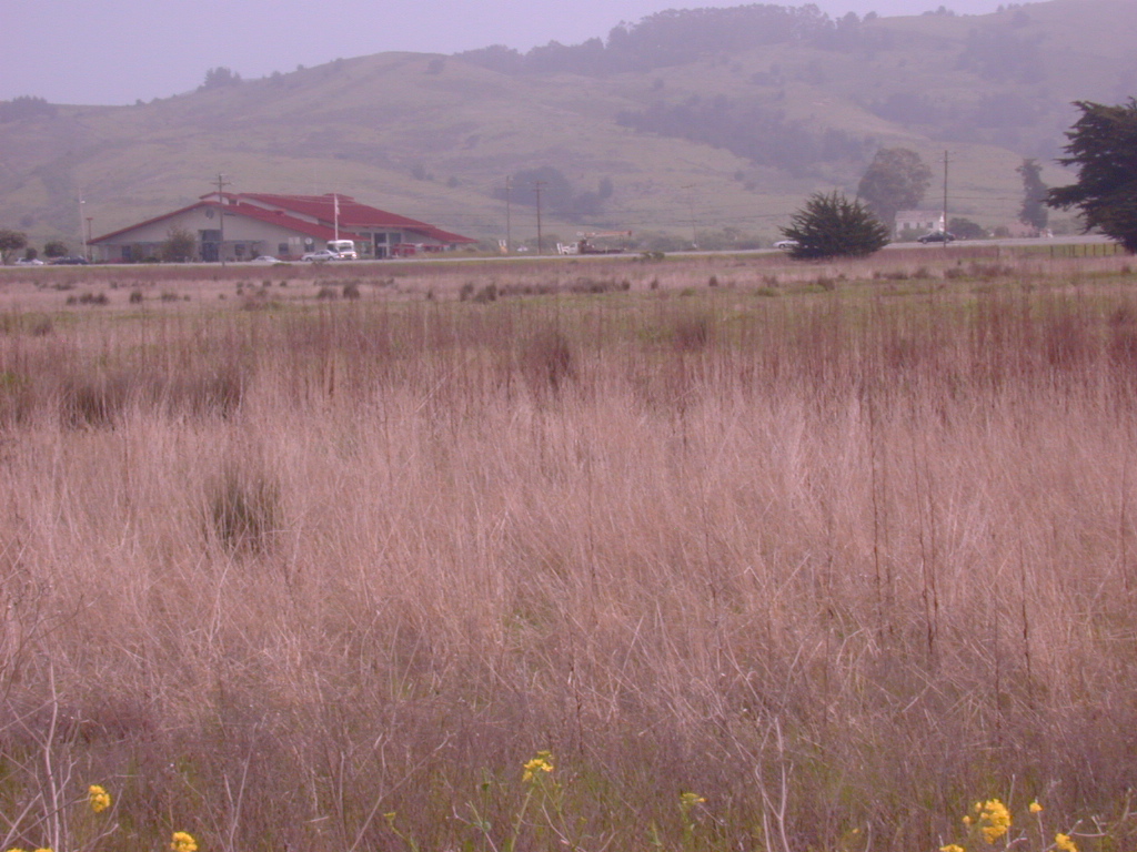 DSCN1771.JPG