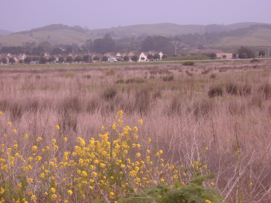 DSCN1773.JPG