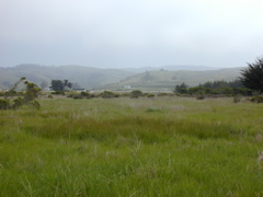 DSCN1723.JPG