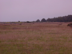 DSCN1813.JPG