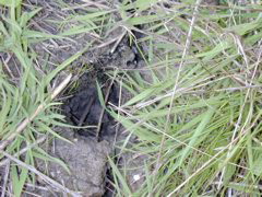 DSCN1815.JPG