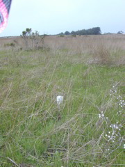 DSCN1816.JPG
