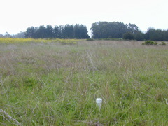 DSCN1817.JPG