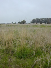 DSCN1818.JPG