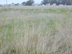 DSCN1819.JPG