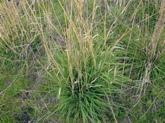 DSCN1820.JPG