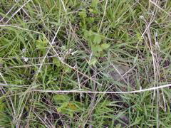 DSCN1821.JPG