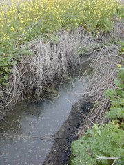 DSCN1823.JPG