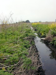 DSCN1824.JPG