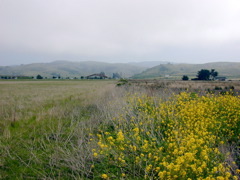 DSCN1825.JPG