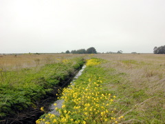 DSCN1826.JPG