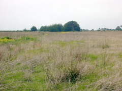 DSCN1827.JPG