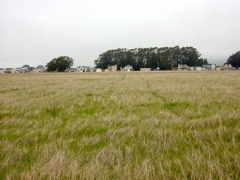 DSCN1828.JPG
