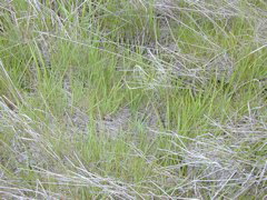 DSCN1830.JPG