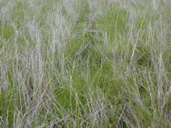 DSCN1832.JPG