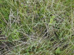 DSCN1725.JPG