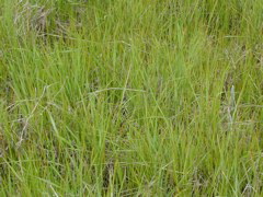 DSCN1726.JPG